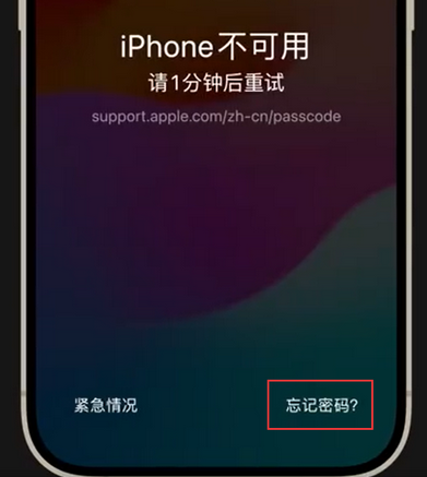 丹寨苹果手机密码维修分享iPhone忘记了刚设置的密码 