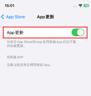 丹寨苹果15维修中心如何让iPhone15APP自动更新